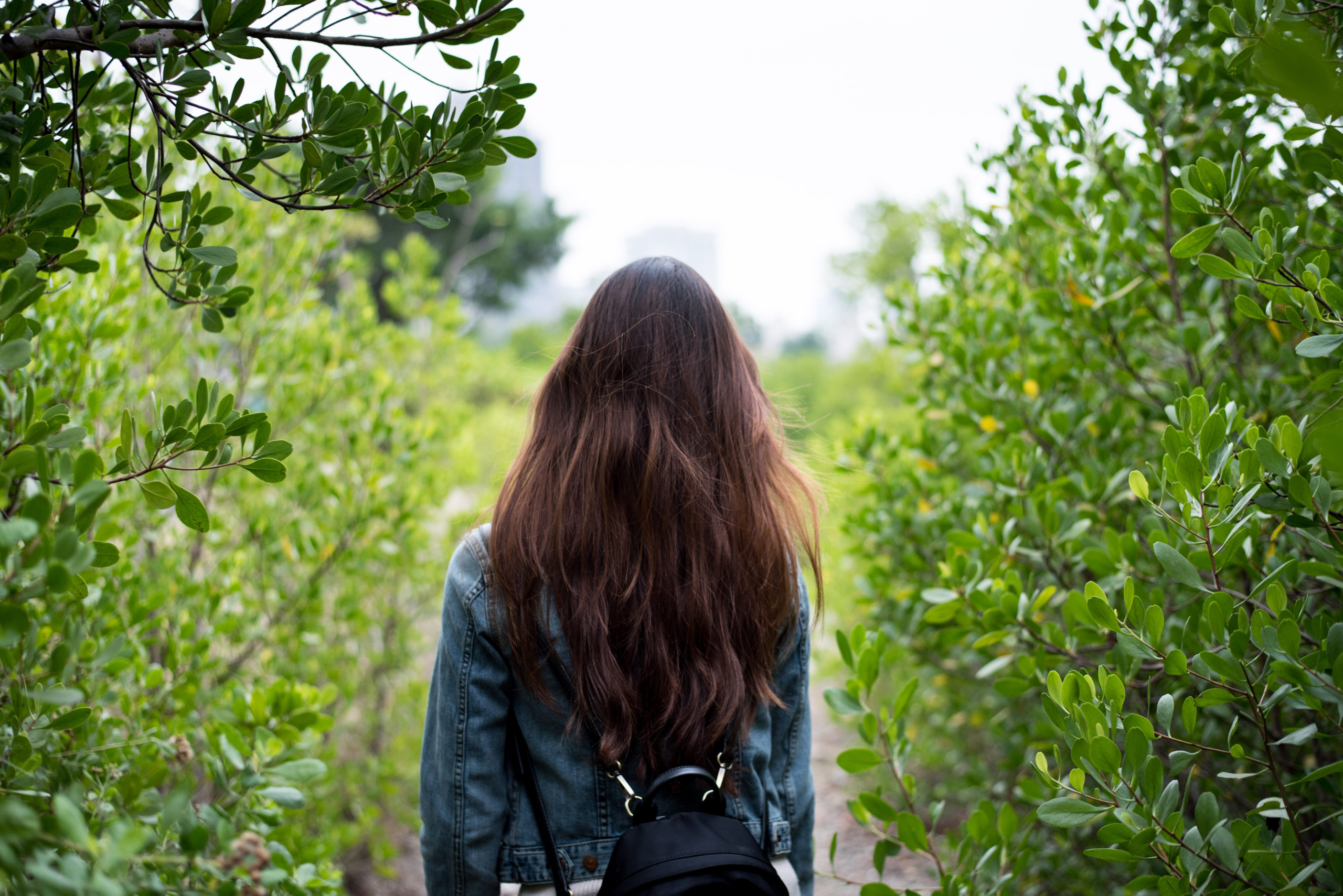 https://suehawkes.com/wp-content/uploads/2020/08/Canva-Woman-in-Gray-Denim-Jacket-in-the-Middle-of-Bushes-scaled.jpg