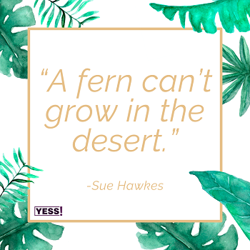 https://suehawkes.com/wp-content/uploads/2023/09/A-fern-cant-grow-in-the-desert.-Copy.png