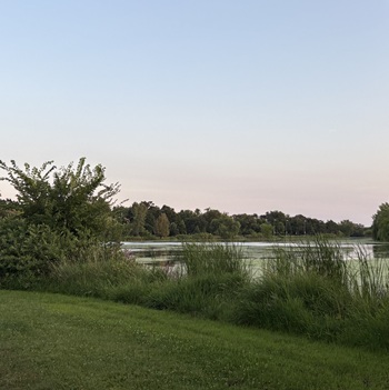 https://suehawkes.com/wp-content/uploads/2025/09/IMG_1629-Copy.jpg