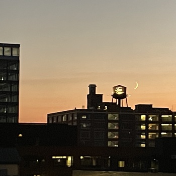 https://suehawkes.com/wp-content/uploads/2026/10/IMG_4046-Copy.jpeg